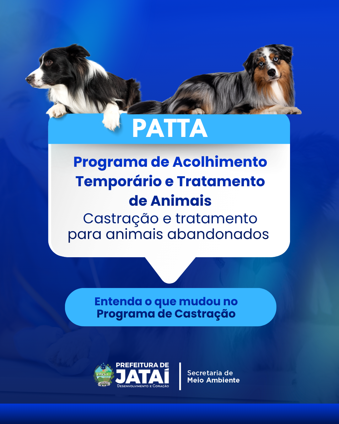 programa-patta-1.png